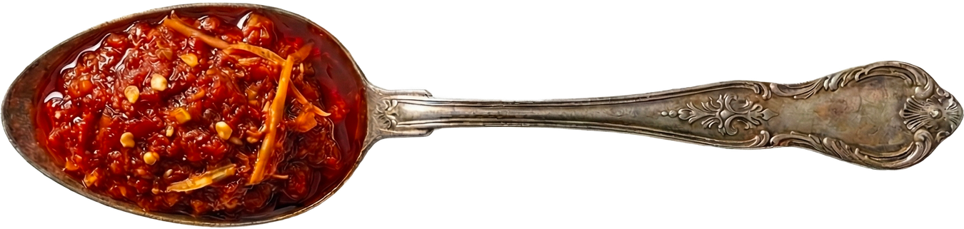 Ancient spoon with Nyonya Sambal